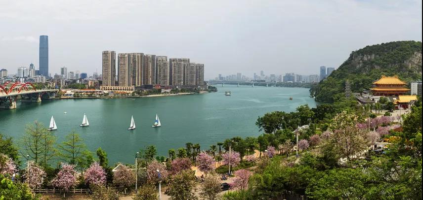 微信圖片_20220118095509.jpg 微信圖片_20220118095509.jpg